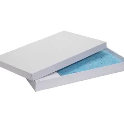 PetSafe Bac De Rechange Pour Liti Re Cristal Bleu Scoopfree (Pack De 1)