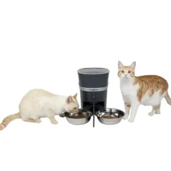PetSafe Bol Et S Parateur De Repas Pour 2 Animaux