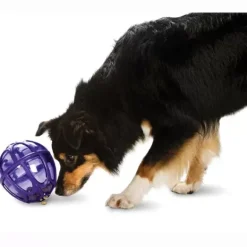 PetSafe Boule Distributrice De Nourriture Busy Buddy® Kibble Nibble