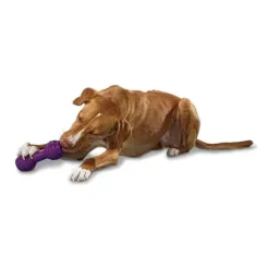 PetSafe Busy Buddy® Chuckle