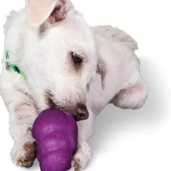 PetSafe Busy Buddy® Squirrel Dude