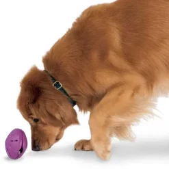 PetSafe Busy Buddy® Twist 'N Treat