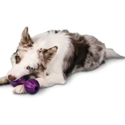PetSafe Busy Buddy® Waggle