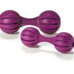 PetSafe Busy Buddy® Waggle