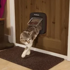PetSafe Chati Re Avec Puce Lectronique
