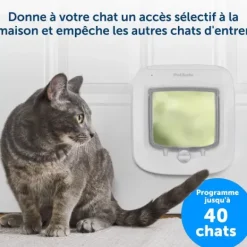 PetSafe Chati Re Avec Puce Lectronique