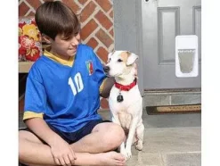 PetSafe Cl Lectronique Smartkey