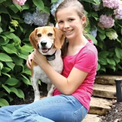 PetSafe Cl Ture Anti-Fugue Avec Fil Rechargeable