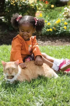 PetSafe Cl Ture Anti-Fugue De Luxe Avec Fil Pour Chats In-Ground Cat Fence