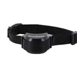 PetSafe Cl Ture Anti-Fugue Sans Fil Compacte Stay & Play®