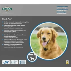 PetSafe Cl Ture Anti-Fugue Sans Fil Stay & Play® Avec Collier Piles Rempla Ables