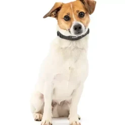 PetSafe Collier Anti-Aboiement Nanobark