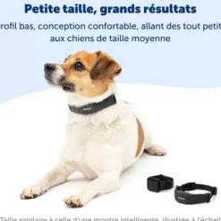 PetSafe Collier Anti-Aboiement Nanobark