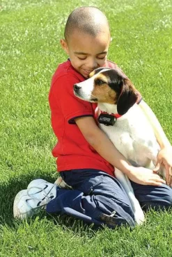 PetSafe Collier Anti-Aboiements