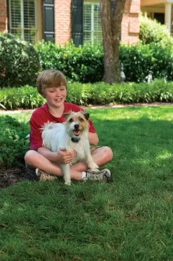PetSafe Collier Anti-Aboiements Jet De Luxe Pour Petits Chiens