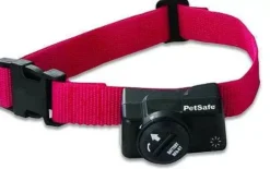 PetSafe Collier-R Cepteur Suppl Mentaire Add-A-Dog® Pour Le Syst Me Anti-Fugue Sans Fil Wireless Pet Containment