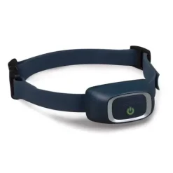 PetSafe Collier-R Cepteur Suppl Mentaire Pour Syst Me De Dressage Add-A-Dog®