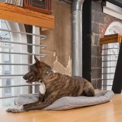PetSafe Contrôle Des Aboiements Rechargeable