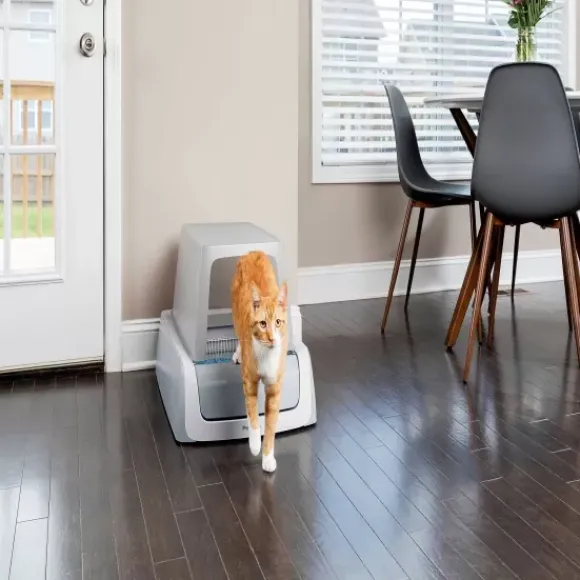 PetSafe Couvercle D'Intimit Pour Bac Liti Re Scoopfree