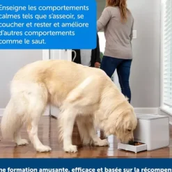 PetSafe Dispositif De Dressage Par R Compense T L Command Teach & Treat De ®