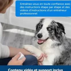 PetSafe Dispositif De Dressage Par R Compense T L Command Teach & Treat De ®