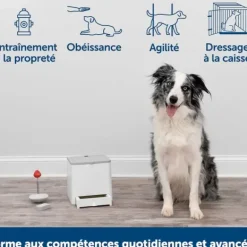 PetSafe Dispositif De Dressage Par R Compense T L Command Teach & Treat De ®