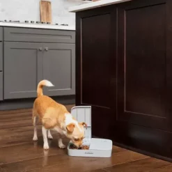 PetSafe Distributeur Automatique De Croquettes Pour 2 Repas De ®