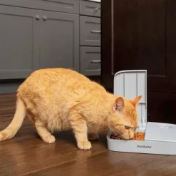PetSafe Distributeur Automatique De Croquettes Pour 2 Repas De ®