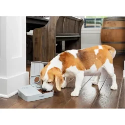 PetSafe Distributeur Automatique De Croquettes Pour 2 Repas De ®