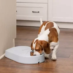PetSafe Distributeur De Croquettes Pour Cinq Repas ®