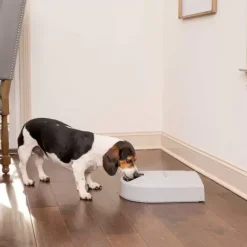 PetSafe Distributeur De Croquettes Pour Cinq Repas ®