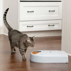 PetSafe Distributeur De Croquettes Pour Cinq Repas ®
