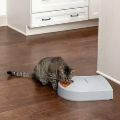PetSafe Distributeur De Croquettes Pour Cinq Repas ®