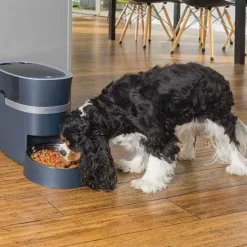 PetSafe Distributeur De Croquettes Connect Smart Feed De ® Pour Chiens Et Chats