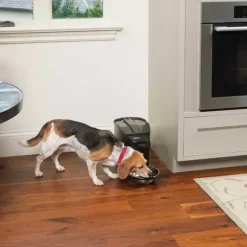 PetSafe Distributeur Digital De Nourriture Pour Animaux Domestiques Healthy Pet Simply Feed
