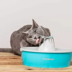 PetSafe Fontaine Eau Papillon Drinkwell® De Pour Animaux De Compagnie