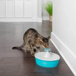 PetSafe Fontaine Eau Papillon Drinkwell® De Pour Animaux De Compagnie
