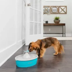 PetSafe Fontaine Eau Papillon Drinkwell® De Pour Animaux De Compagnie
