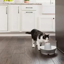 PetSafe Fontaine En C Ramique ® Pour Animaux De Compagnie Streamside