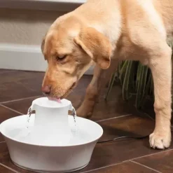 PetSafe Fontaine En C Ramique Pour Animaux De Compagnie Drinkwell® Avalon