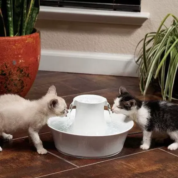 PetSafe Fontaine En C Ramique Pour Animaux De Compagnie Drinkwell® Avalon