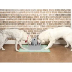 PetSafe Fontaine Pour Animaux De 7,5 Litres Drinkwell®