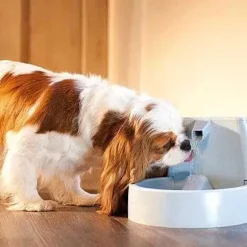 PetSafe Fontaine Pour Animaux De Compagnie Drinkwell® Original