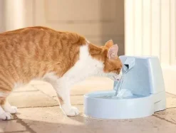 PetSafe Fontaine Pour Animaux De Compagnie Drinkwell® Original