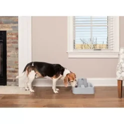 PetSafe Fontaine Pour Animaux De 3,7 Litres Drinkwell®