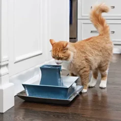 PetSafe Fontaine Pour Animaux De Compagnie Drinkwell® Pagoda