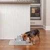 PetSafe Fontaine Pour Animaux De 1,8 Litres Drinkwell®