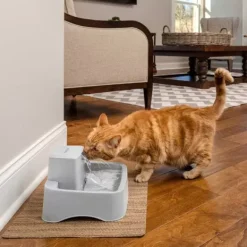 PetSafe Fontaine Pour Animaux De 1,8 Litres Drinkwell®