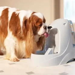 PetSafe Fontaine Pour Animaux De Compagnie Drinkwell® Platinum