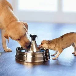 PetSafe Fontaine Pour Animaux De Compagnie En Acier Inoxydable 360 Drinkwell®